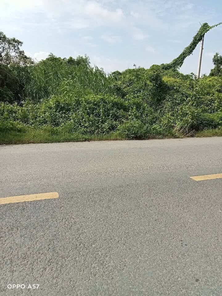 Đất mặt tiền lộ Bắc Nam, xã Thạnh Trị, 815m² chỉ 73.35 tỷ - Cơ hội đầu tư sinh lời!