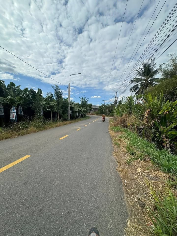 Đất nông nghiệp tại Phú Thịnh, Tân Phú, Đồng Nai 1 mẫu - Giá chỉ 4 tỷ!