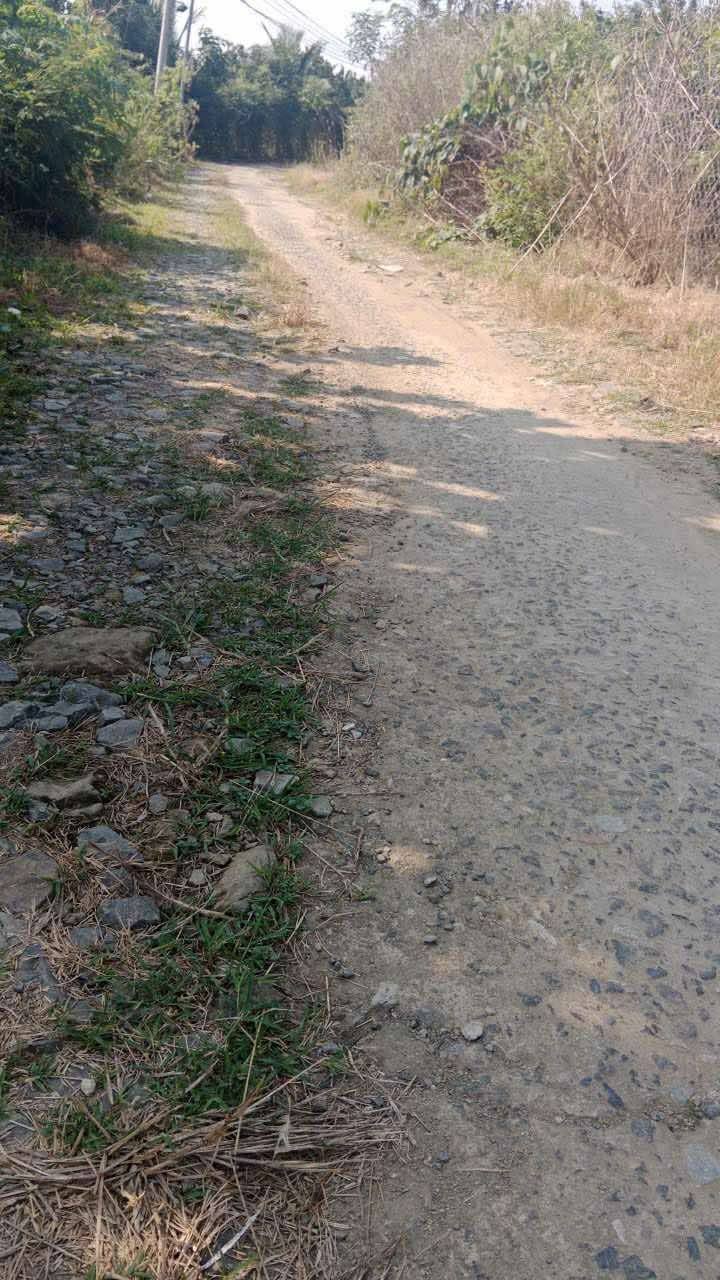 Đất Farm 1.8ha Xã Phú Lập, Tân Phú, Đồng Nai giá 2.8 tỷ - Đầu tư sinh lời ngay!