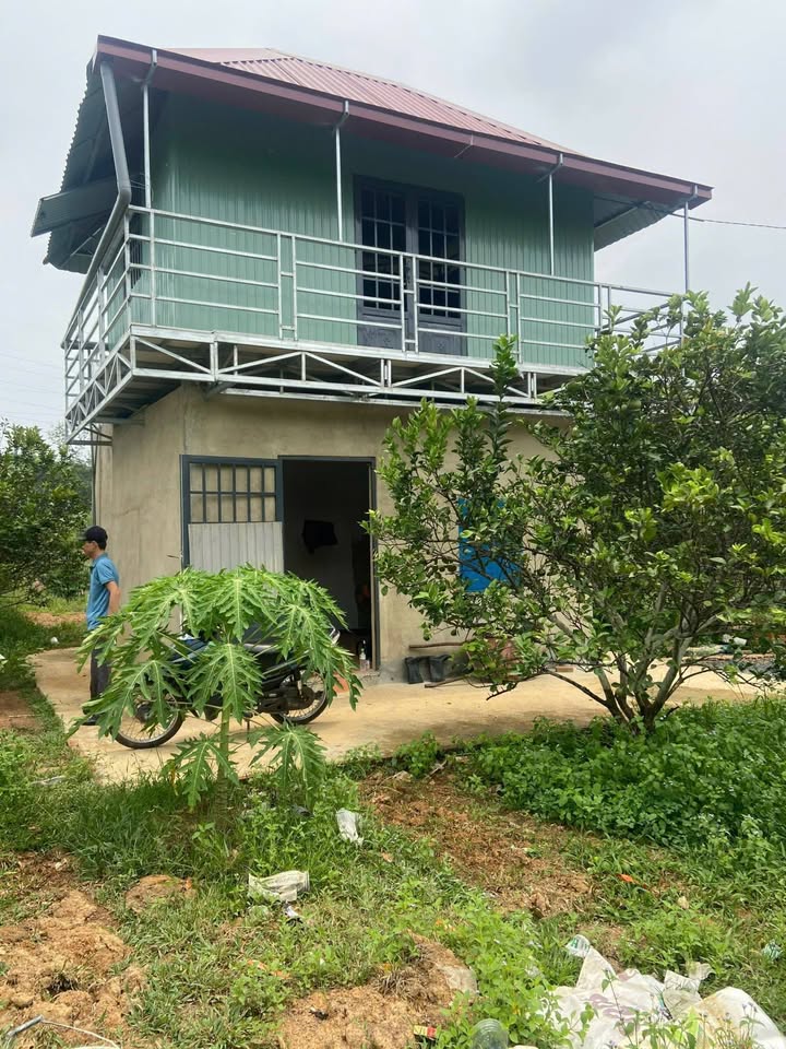 Vườn bưởi 6000m² xã Trị An, Vĩnh Cửu giá 4.5 tỷ - Cơ hội đầu tư hấp dẫn!