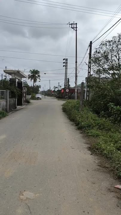 Đất nền Tổ 3, Phường Đậu Liêu, 260m² giá 1 tỷ - Cơ hội đầu tư hấp dẫn!