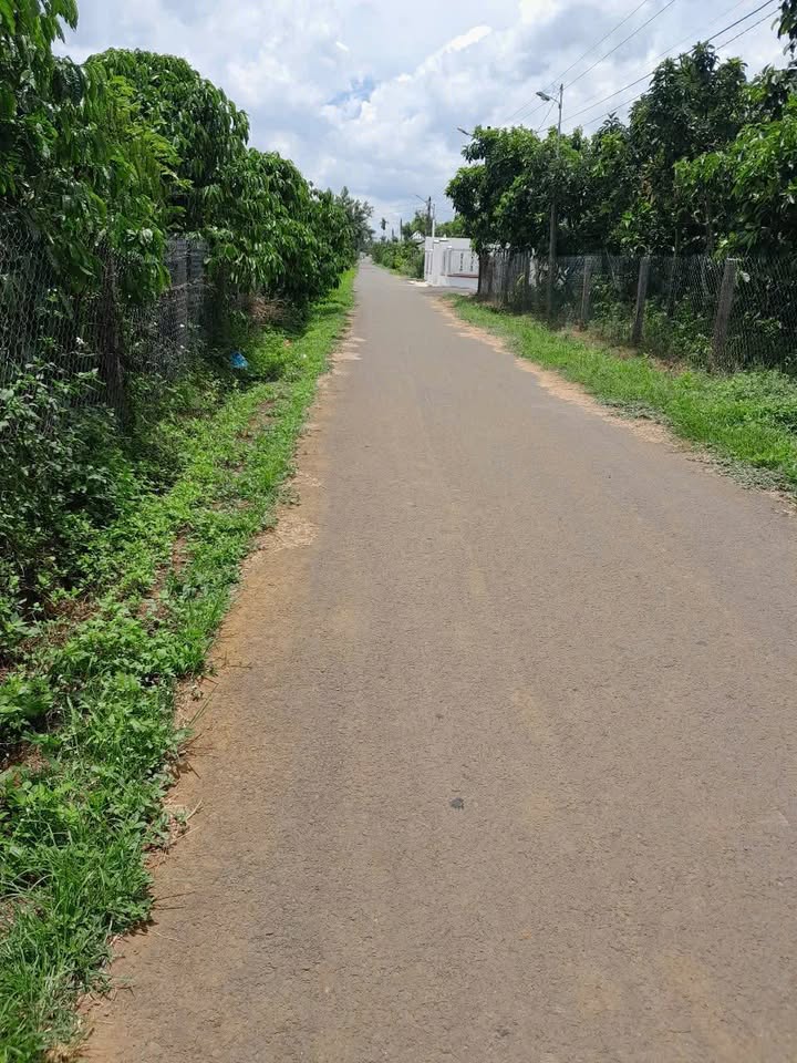 Đất nền Lộc Nga 1000m² giá 2.3 tỷ - Cơ hội đầu tư tuyệt vời!