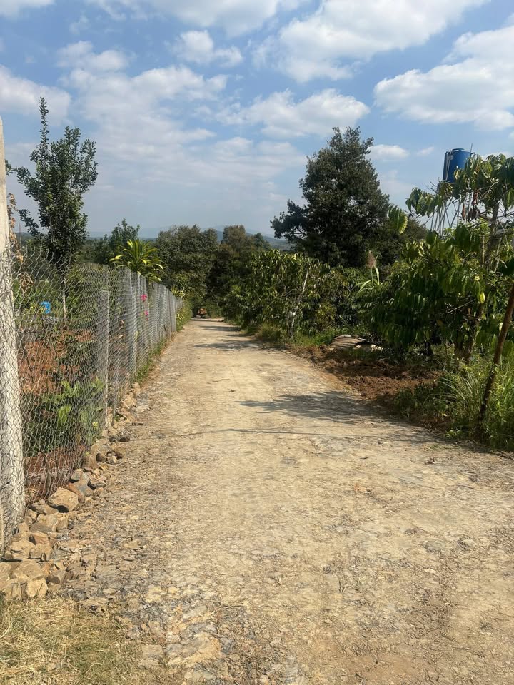 Đất thổ cư 1080m² tại Hòa Ninh, Di Linh - Giá chỉ 2.6 tỷ, sổ hồng chính chủ!