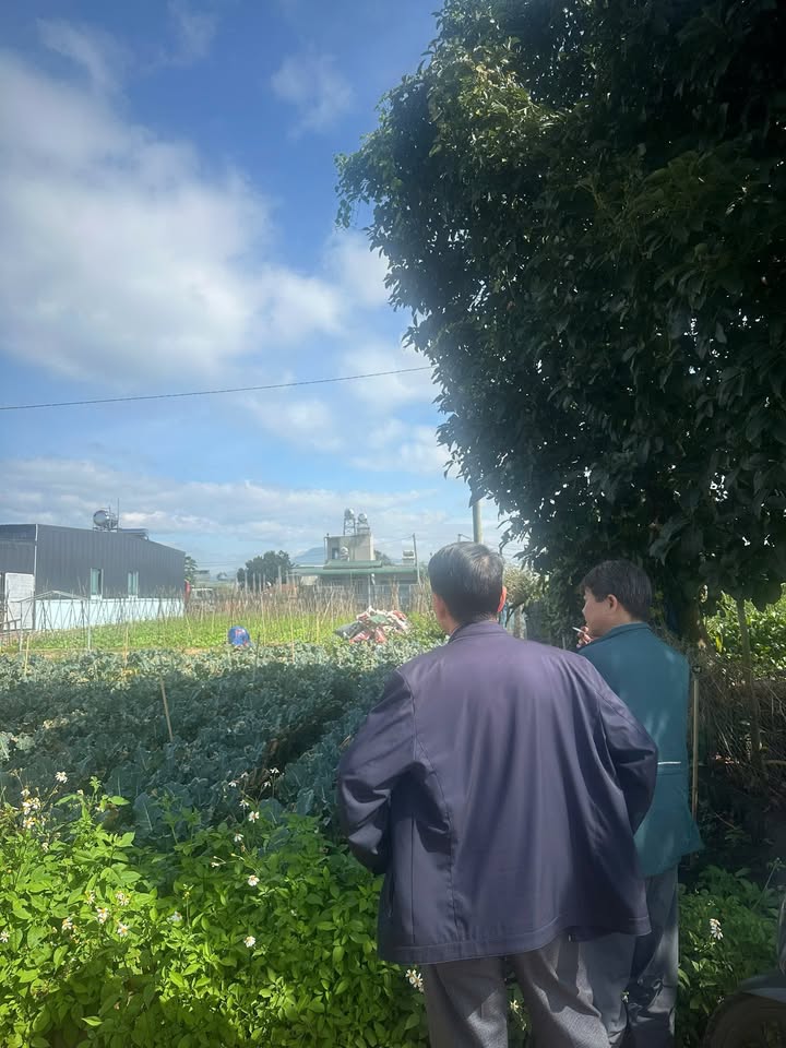 Đất thổ cư Đức Trọng 75m² giá 11.625 tỷ - Cơ hội đầu tư tuyệt vời!