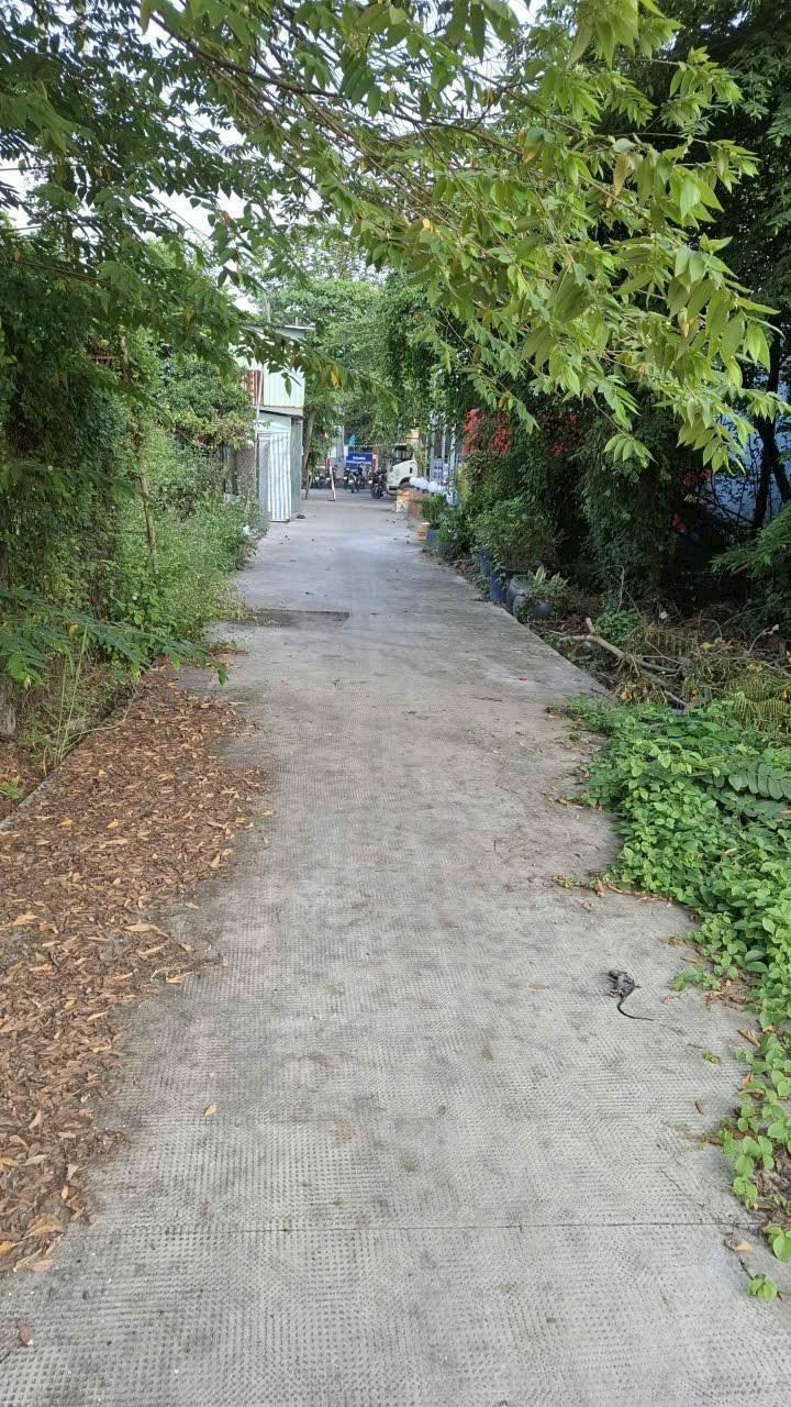 Đất 100m² tại Bình Chánh, giá 3.1 tỷ - Cơ hội đầu tư sinh lời!