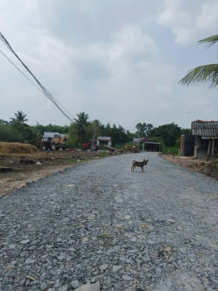 Đất nền Thanh Điền, Châu Thành, Tây Ninh 135m² giá 295 triệu - Gần chợ, trường học!