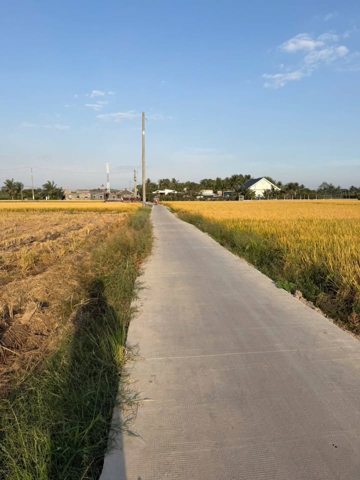 Đất lúa 2200m² mặt tiền đường Đan Xe Hơi - An Thạnh, Bến Lức, chỉ 2.64 tỷ!