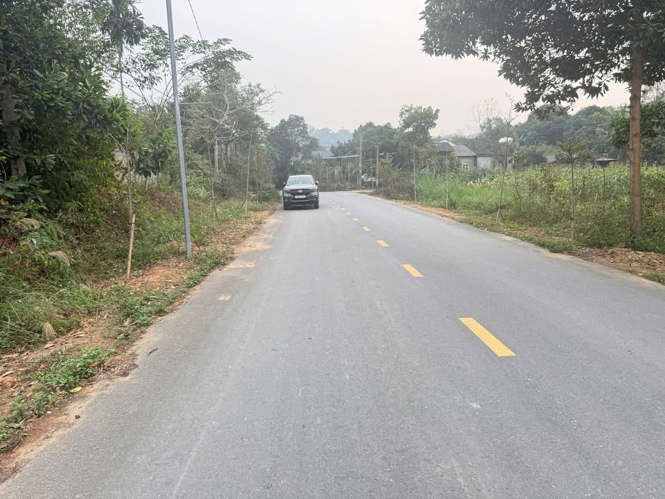 Đất nền khu 1, xã Trạm Thản, 124m² giá 700 triệu - Đầu tư lý tưởng!