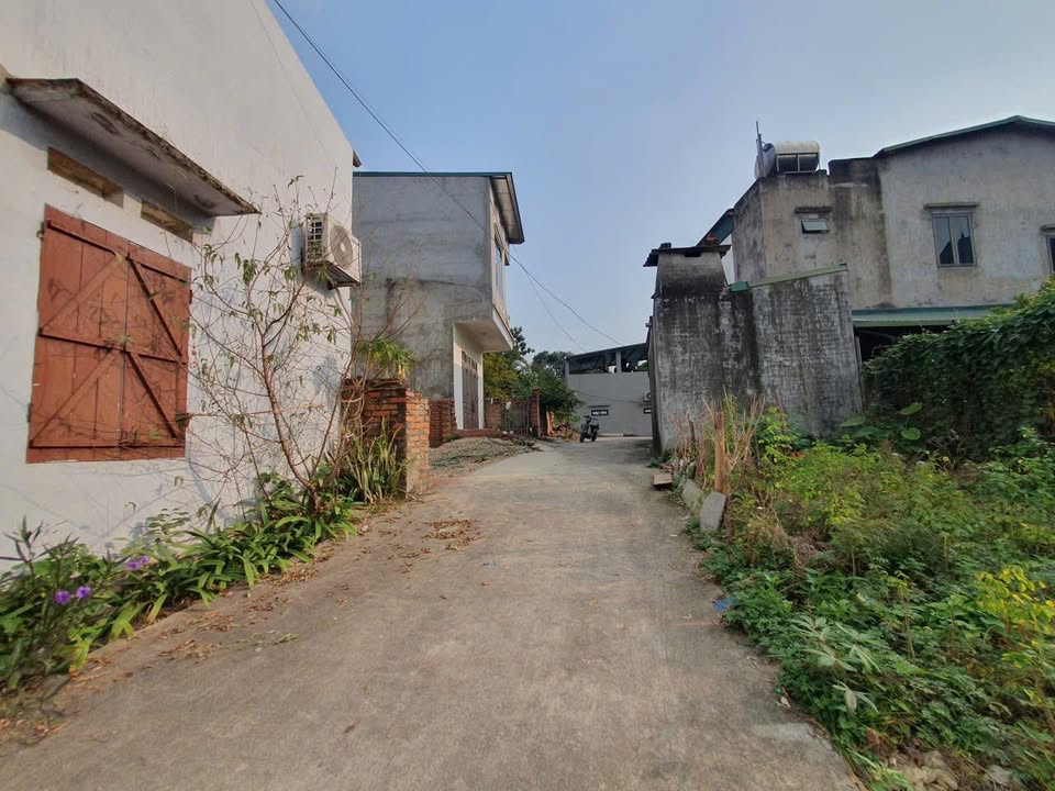 Đất nền khu đô thị Minh Phương Vĩnh Yên 80m² giá chỉ dưới 2 tỷ - Đầu tư tiềm năng!