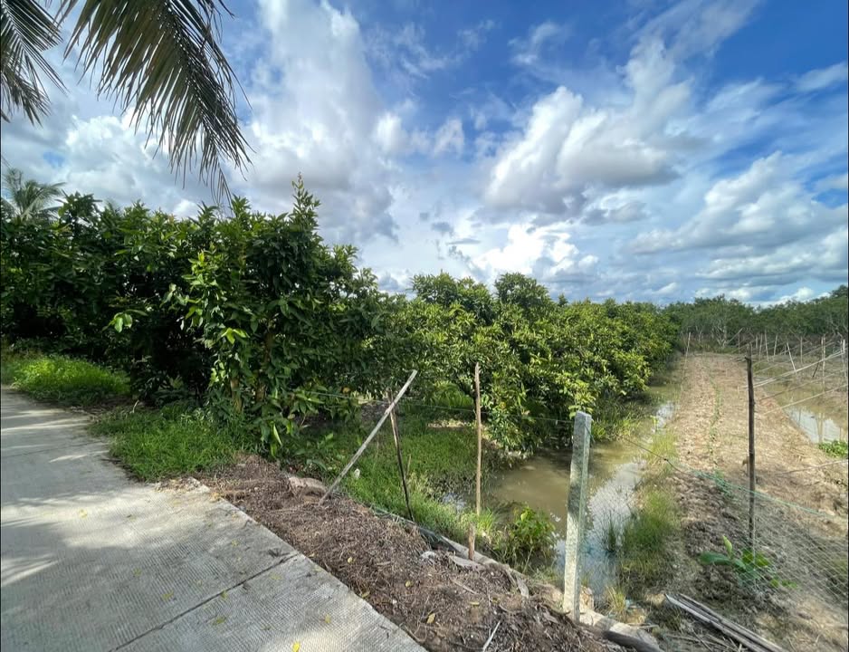 Đất nền An Lạc Tây, Kế Sách 531m² giá 400 triệu - Đầu tư sinh lời ngay!