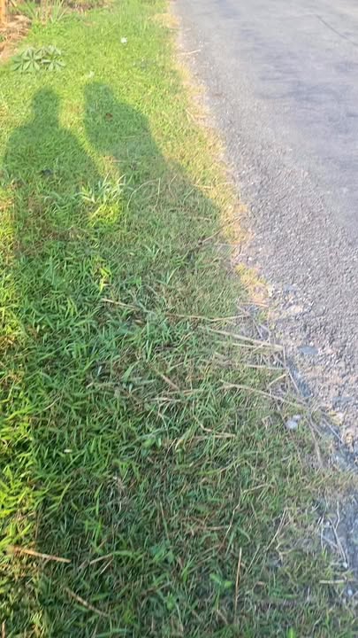 Bán gấp FrontHouse mặt tiền đường tỉnh 907, xã Vĩnh Xuân, 240m² giá 800 triệu - Cơ hội đầu tư tuyệt vời!