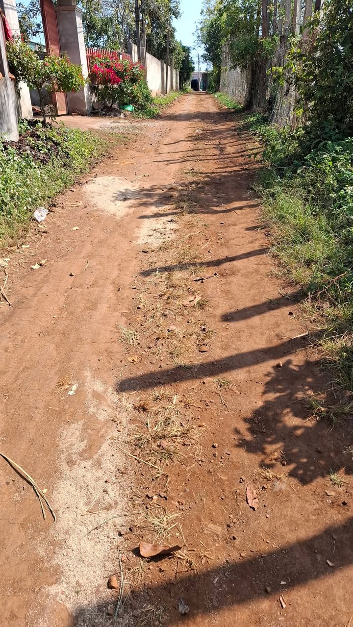 Đất nền Xã Ea Tân, Huyện Krông Năng 330m² giá 5.115 tỷ - Cơ hội đầu tư hấp dẫn!