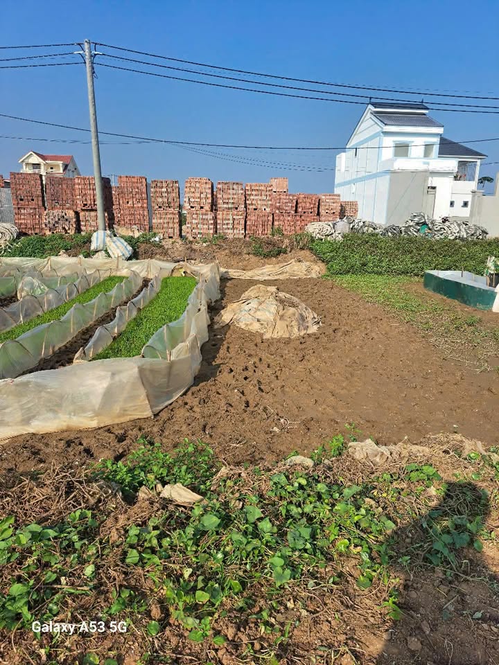 Đất nền Xóm 2 mới Diễn Hải 170m² giá 3 tỷ - Đường nhựa rộng rãi, đầu tư sinh lời!