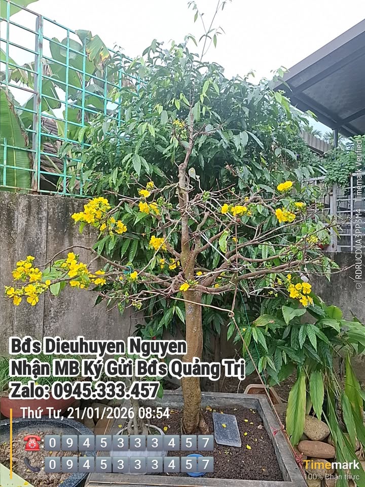 Đất nền Lê Thánh Tông, Đông Hà, 175m² giá 2.3 tỷ - Đầu tư sinh lời ngay!