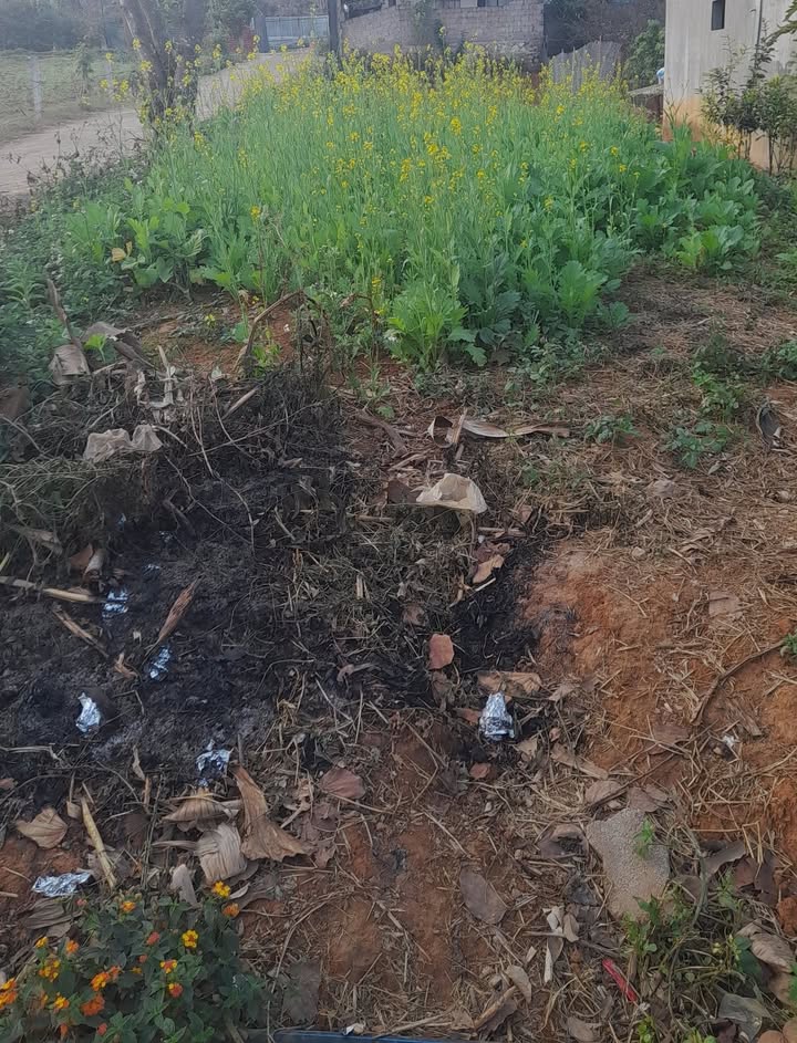 Đất nền 240m² tại khu phố đi bộ mới Rừng Thông, Yên Châu - Cơ hội đầu tư hấp dẫn!