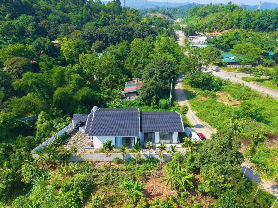 Nhà vườn cực chill Đồng Tuyển 282m² giá 2.8 tỷ - Không gian sống yên bình!