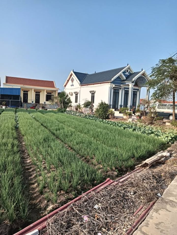 Đất nền Biển Cồn Tròn, Hải Xuân 935m² - View biển tuyệt đẹp, đầu tư sinh lời!