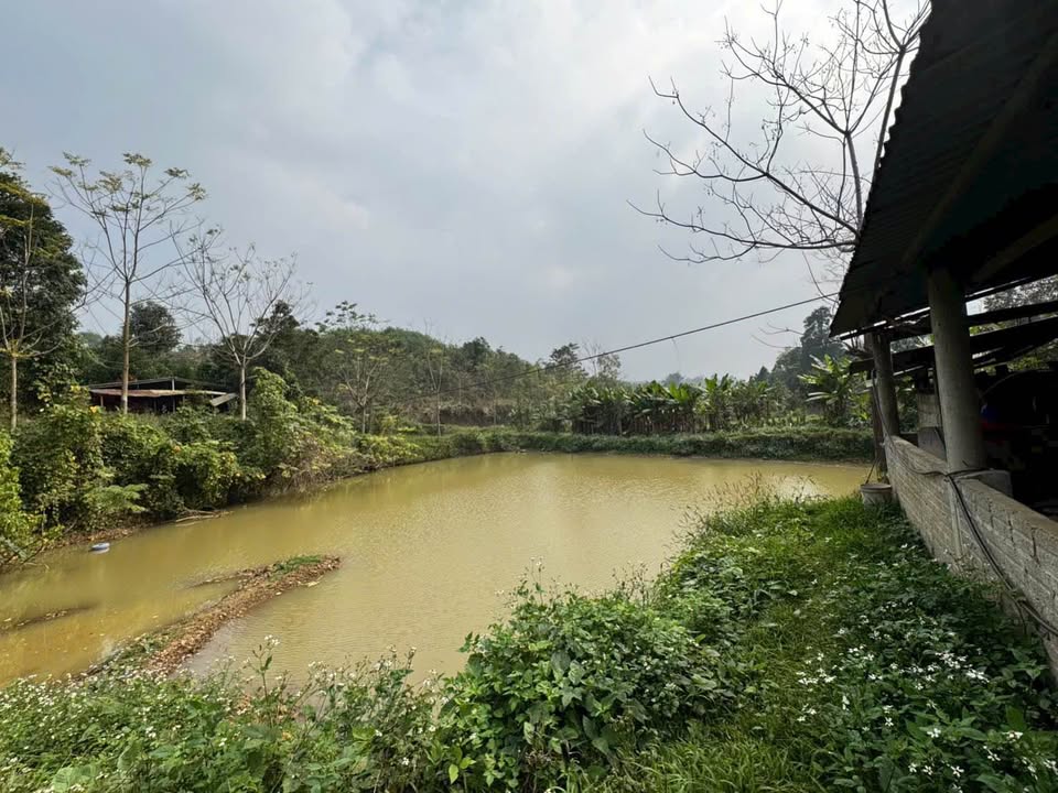 Nhà vườn 2000m² tại Thôn Làng Giàng, Lào Cai - Chỉ 1 tỷ VND!