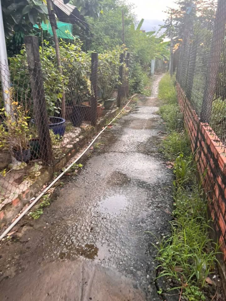 Đất vườn Phường 7 Tân An 173m² giá 470 triệu - Sổ hồng chính chủ