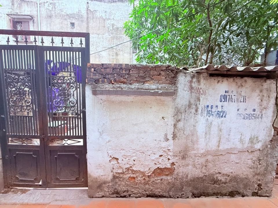 Đất nền 50m² tại Phố Bồ Đề, Long Biên - Vị trí đắc địa, cần bán gấp!