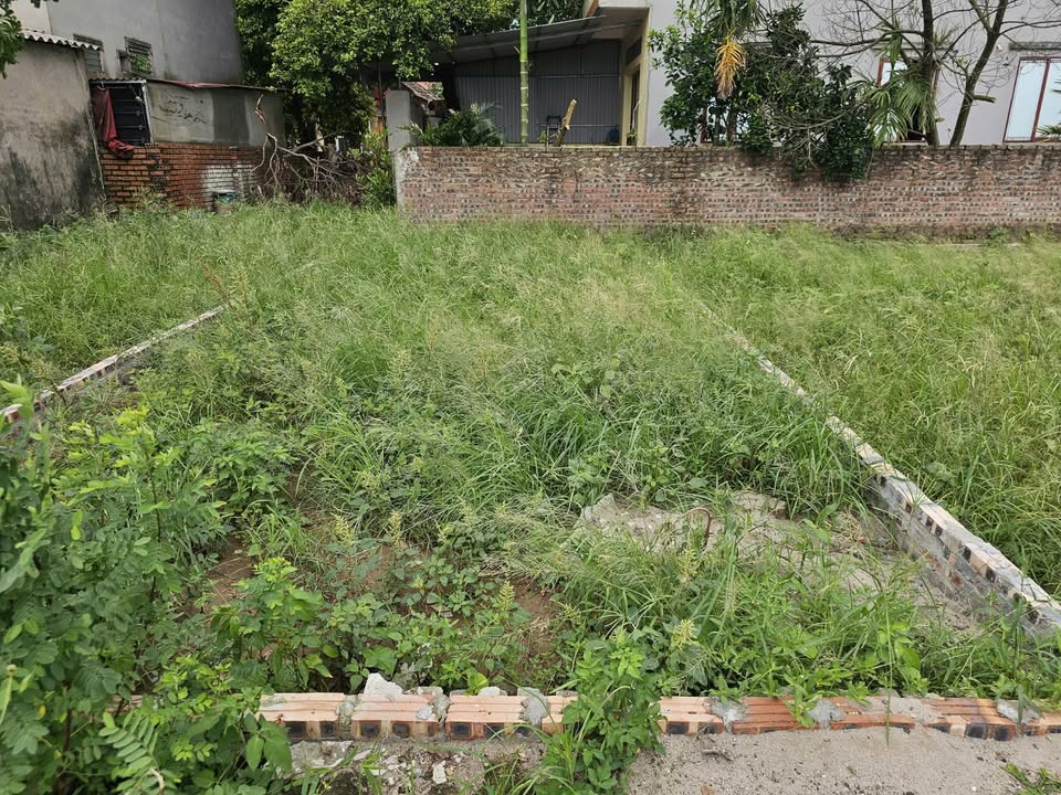 Đất nền Đặng Xá, Gia Lâm 59m² giá 3.1 tỷ - Ngõ rộng thoáng, gần ô tô tránh!