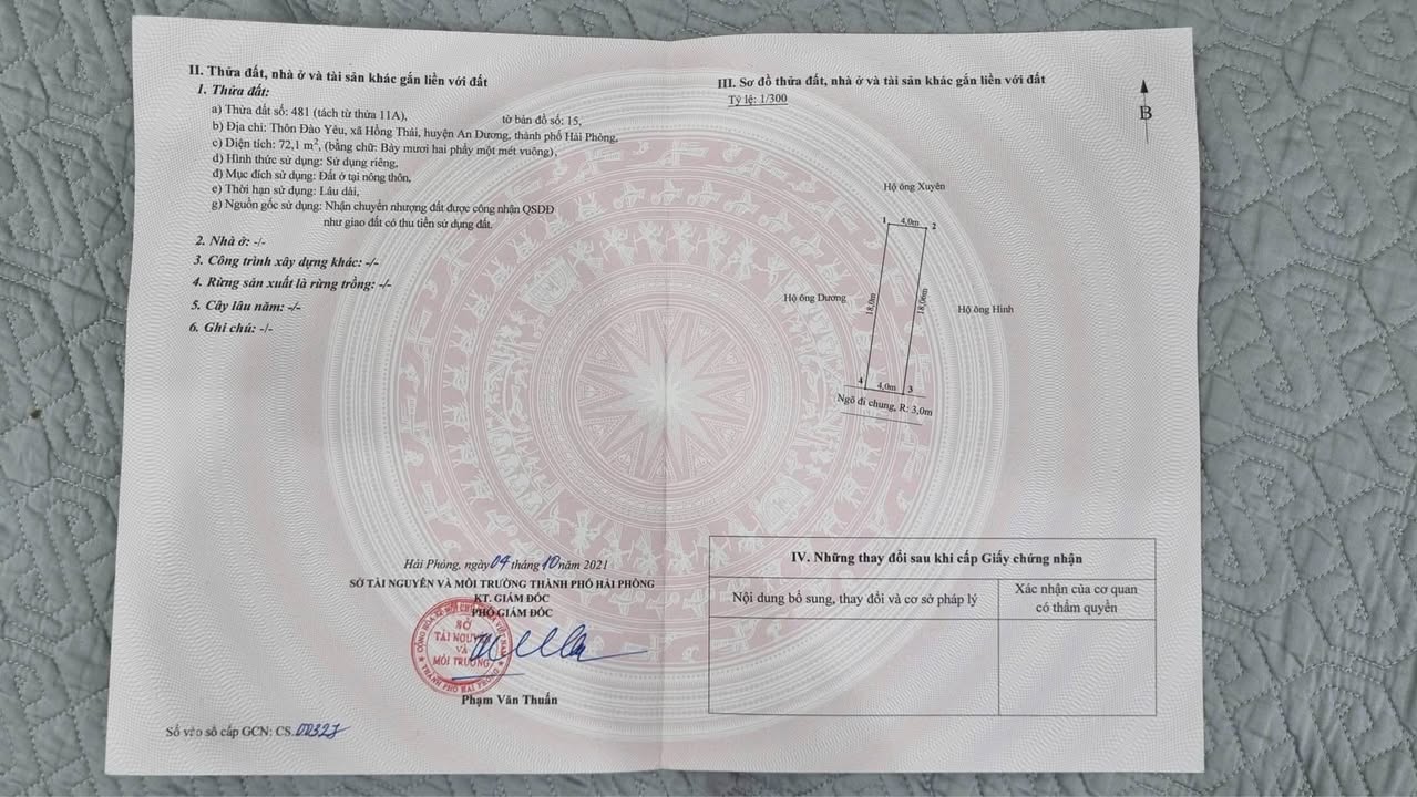 Đất nền 72m² tại Đào Yêu 1, Hồng Thái - Giá 1 tỷ, cơ hội đầu tư tốt!