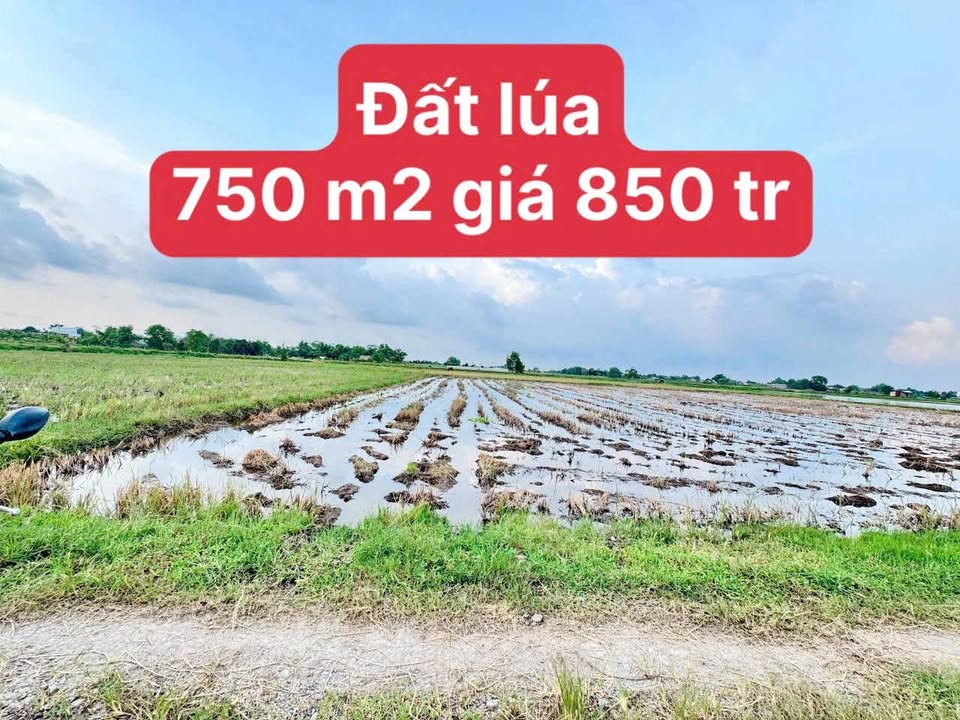 Đất thổ cư xã Đức Hòa Thượng 750m² giá 850 triệu - Cơ hội đầu tư hấp dẫn!