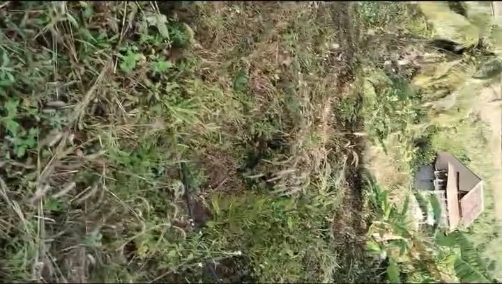 Farm nhà vườn 1440m² tại xã Kbang - Tiện nghi đầy đủ, giá thỏa thuận!