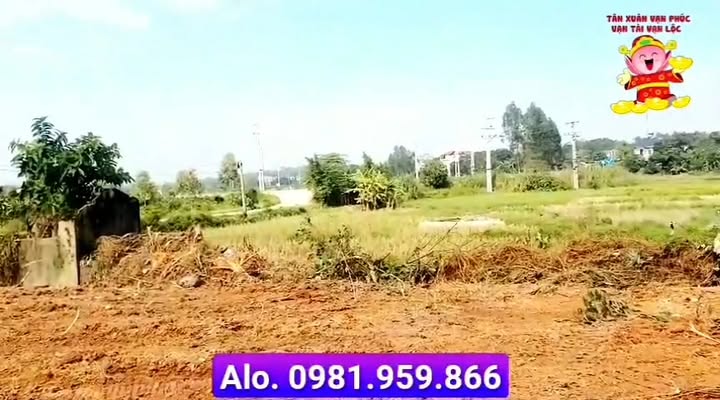 Đất nền Khu CN Tam Dương 182m² giá 2.366 tỷ - Đầu tư sinh lời ngay!