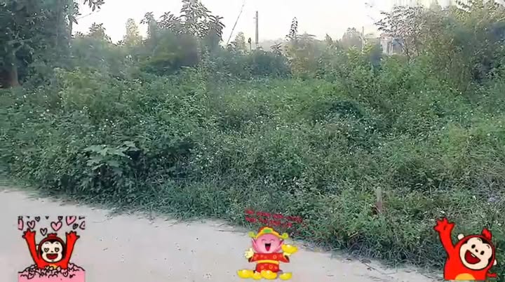 Đất nền tại xã Hướng Đạo, huyện Tam Dương 182m² giá 2.366 tỷ - Đầu tư sinh lời hấp dẫn!