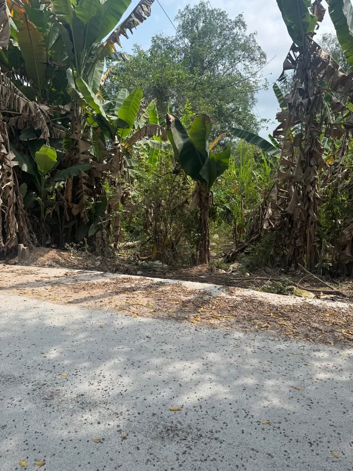 Đất nền Phường Lê Bình, Quận Cái Răng, 160m² giá 7xx triệu - Cơ hội đầu tư hấp dẫn!