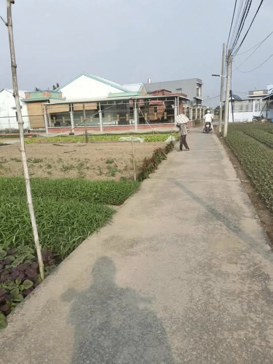 Đất nền Ấp Trong, Xã Phước Hậu, 95m² giá 830 triệu - Cơ hội đầu tư hấp dẫn!