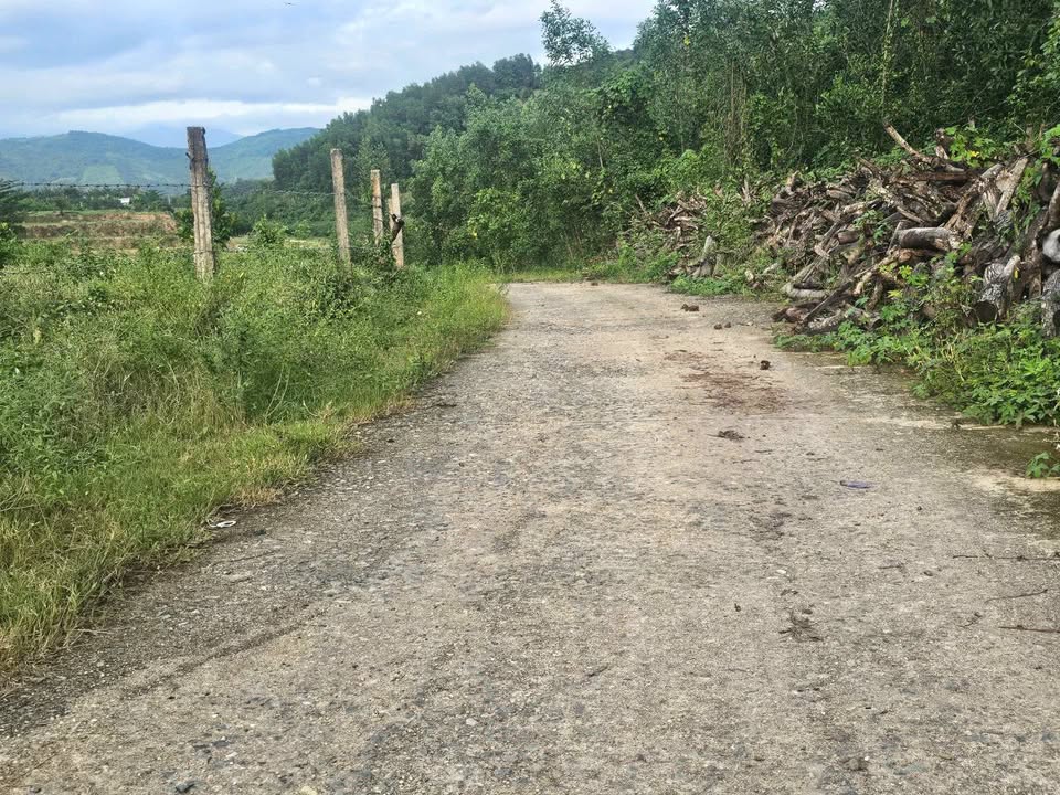 Đất nền Diên Tân 1100m² giá 450 triệu - Cơ hội đầu tư hiếm có!