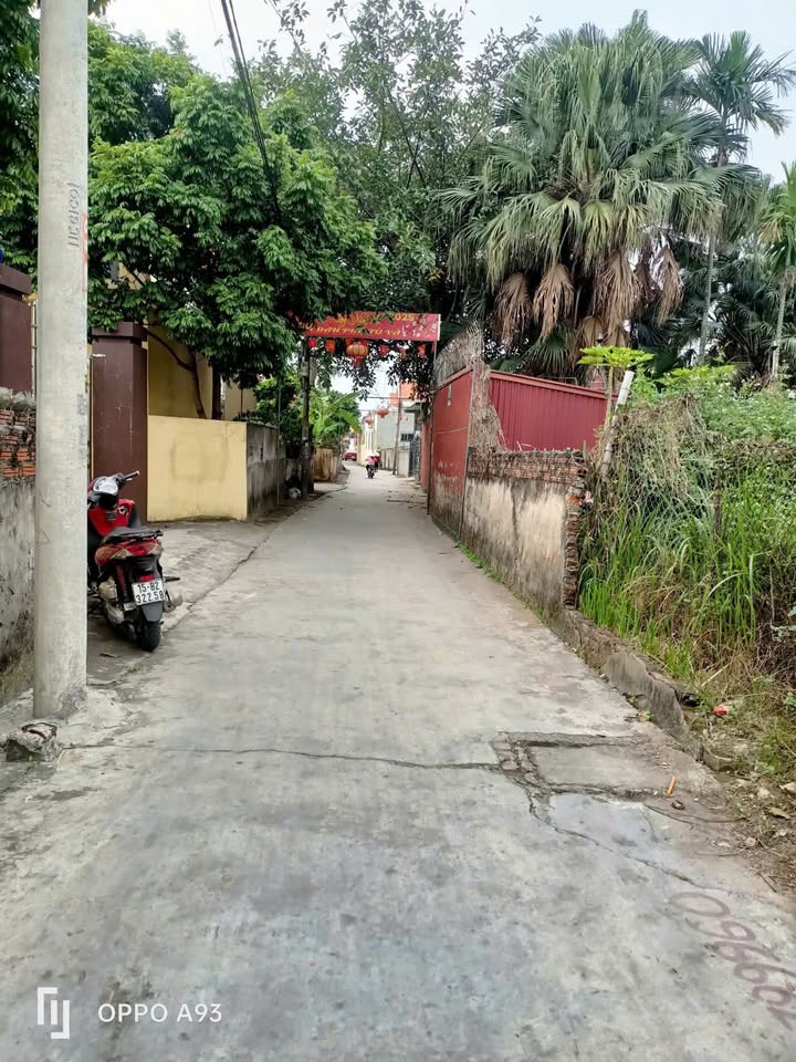 Lô đất An Phong, Hải Phòng 60m² giá 1.6 tỷ - Đầu tư sinh lời ngay!