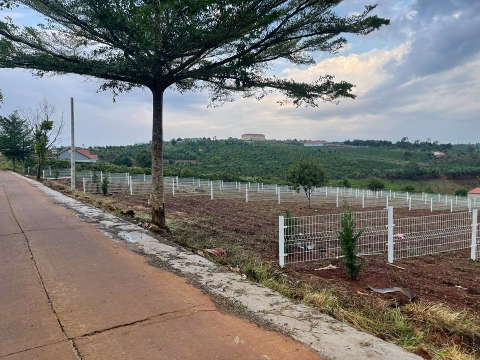 Đất nền 1000m² tại Xã Tân Hà, Huyện Lâm Hà - Giá chỉ 1.6 tỷ