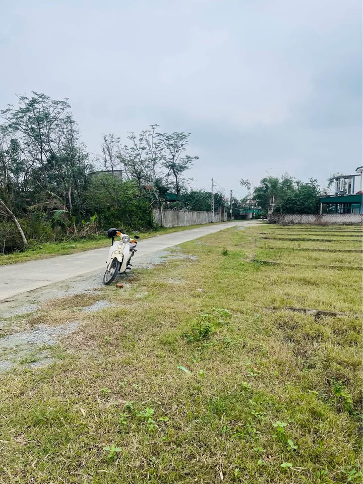 Đất nền chính chủ TP Vinh 101m² giá 900 triệu - Cơ hội đầu tư tuyệt vời!