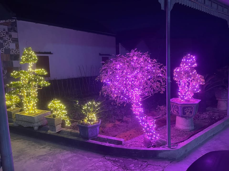 FrontHouse Nghi Lộc 245m² giá 1 tỷ - Đường hai mặt kinh doanh thuận lợi!