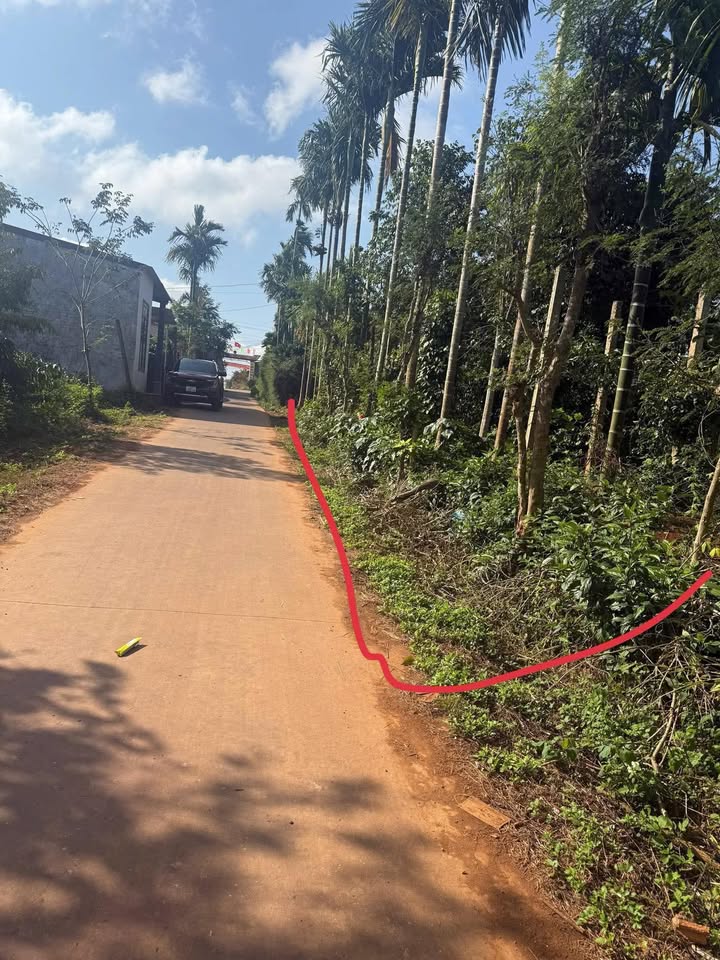 Đất nền Phú Xuân 450m² giá 1 tỷ - Sổ đỏ chính chủ, xây dựng tự do!