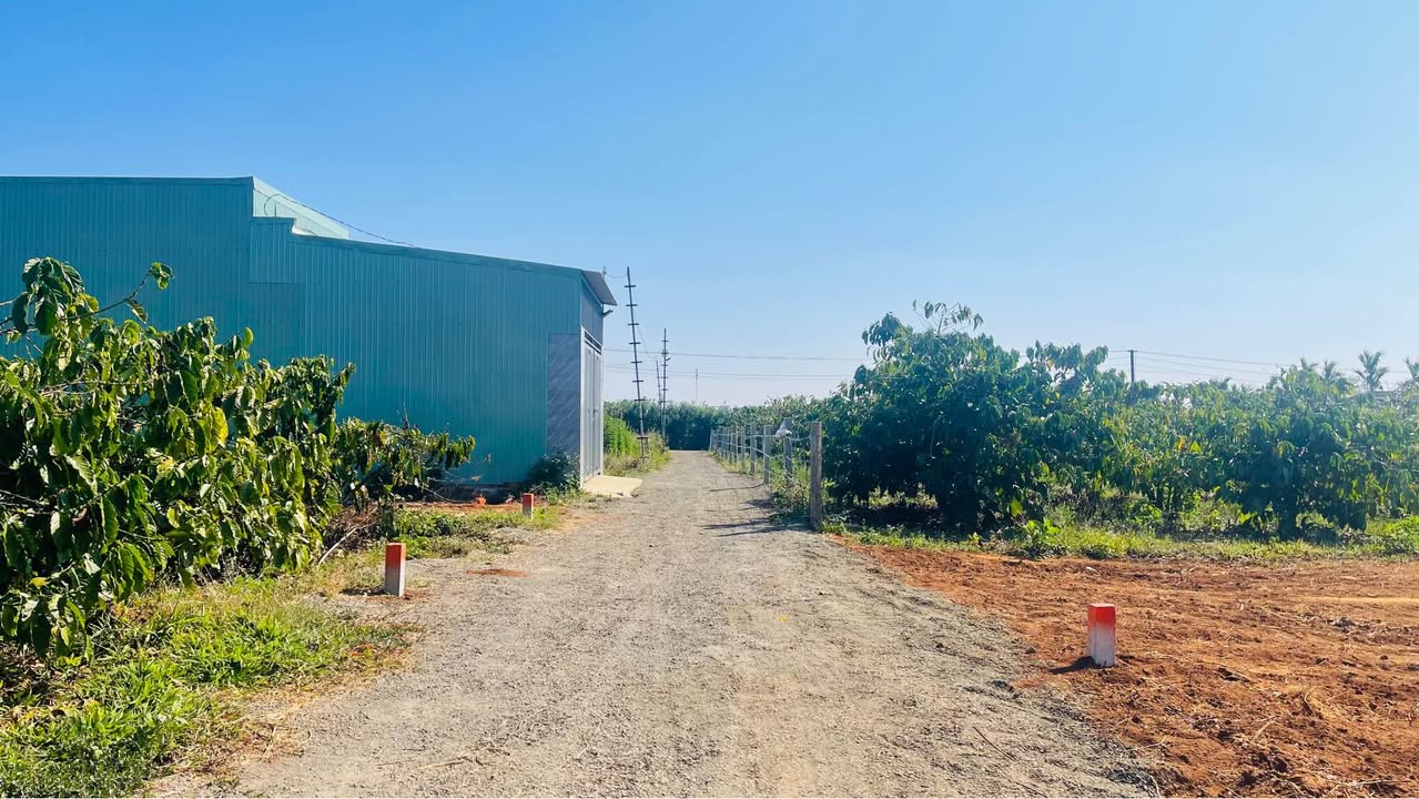 Đất nền hẻm Nguyễn Kiệm, Pleiku 140m² giá 4xx triệu - Cơ hội đầu tư tốt!