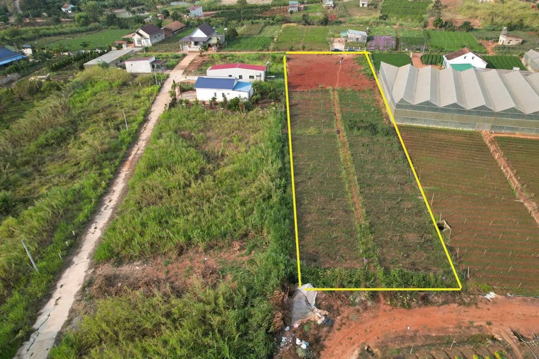 Đất thổ cư tại Thị trấn Nam Ban, Lâm Hà 1789m² - Cơ hội đầu tư hấp dẫn!