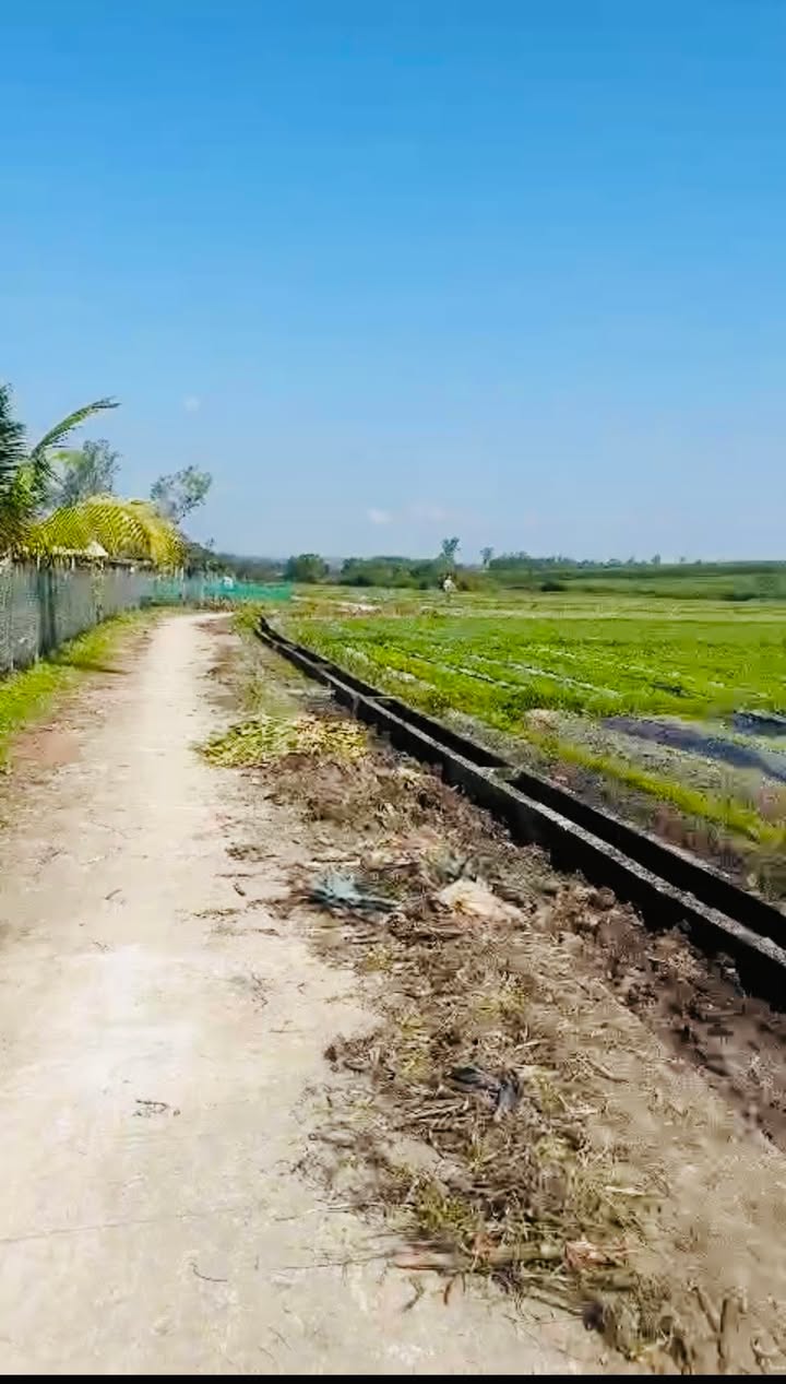 Đất vườn 810m² tại Quế Phong, Quế Sơn - Giá 800 triệu - Đầu tư sinh lời ngay!