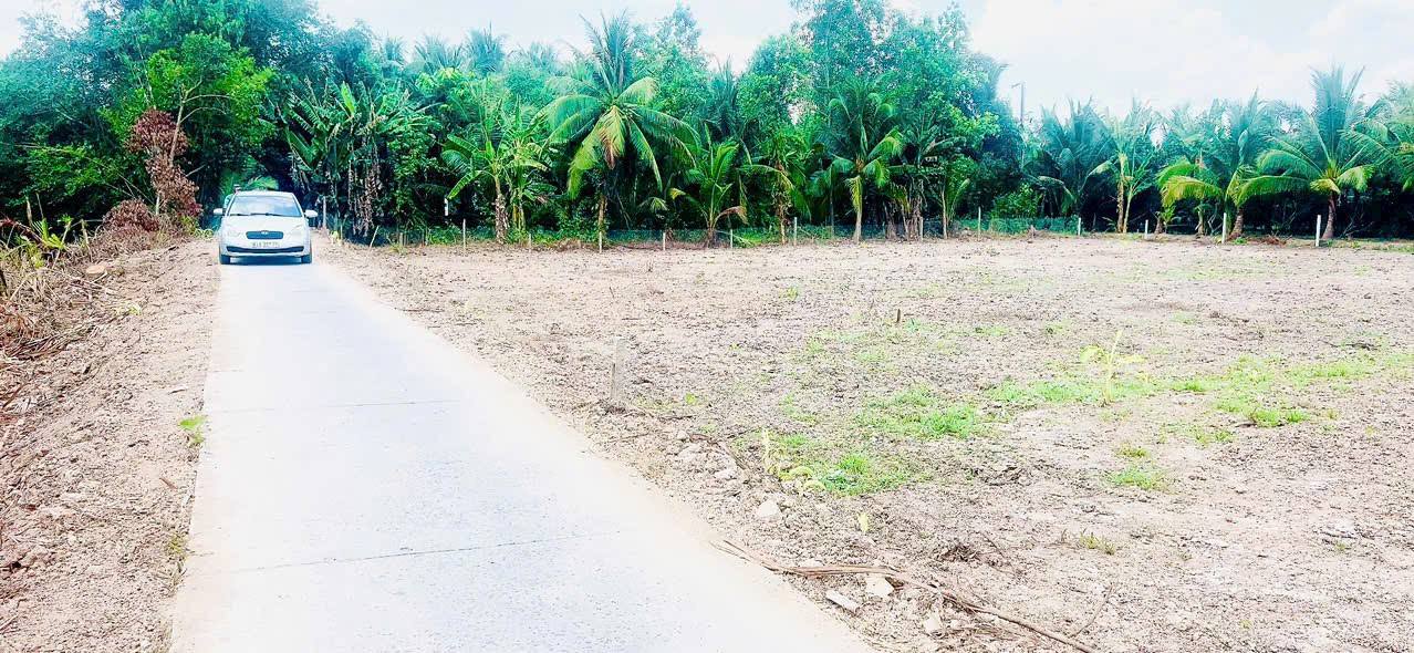 Đất nền Thới Hòa, Trà Ôn, Vĩnh Long 210m² giá 250 triệu - Cơ hội vàng đầu tư!