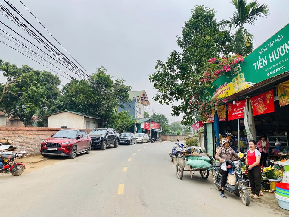 Đất nền Khu 4 Xã Thanh Đình - Việt Trì 110m² giá 1.3 tỷ - Đầu tư sinh lời ngay!