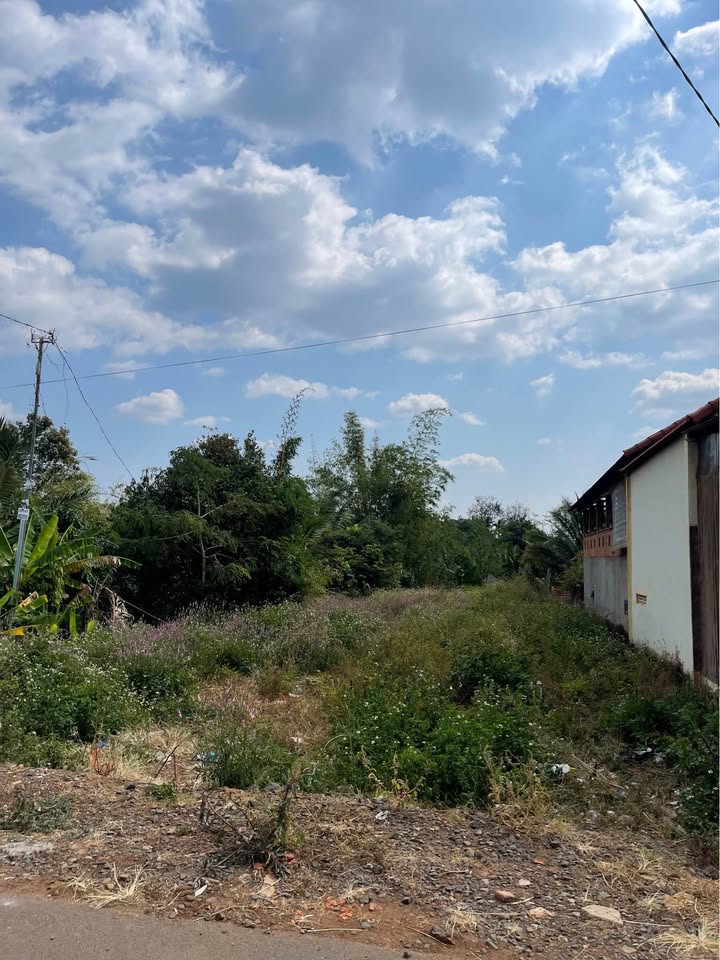 Đất cho thuê mặt tiền Phan Huy Chú 600m² giá chỉ 2 triệu - View suối thoáng mát!