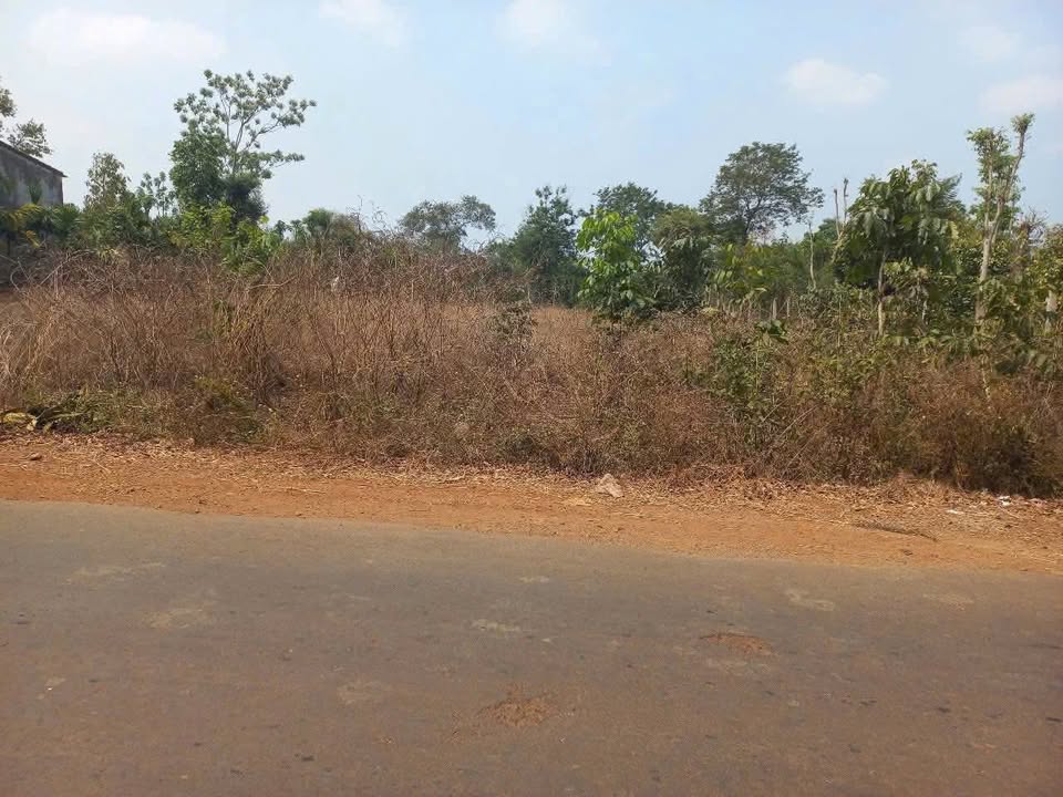 Đất thổ cư Cư M'gar 130m² giá 650 triệu - Đầu tư sinh lời ngay!