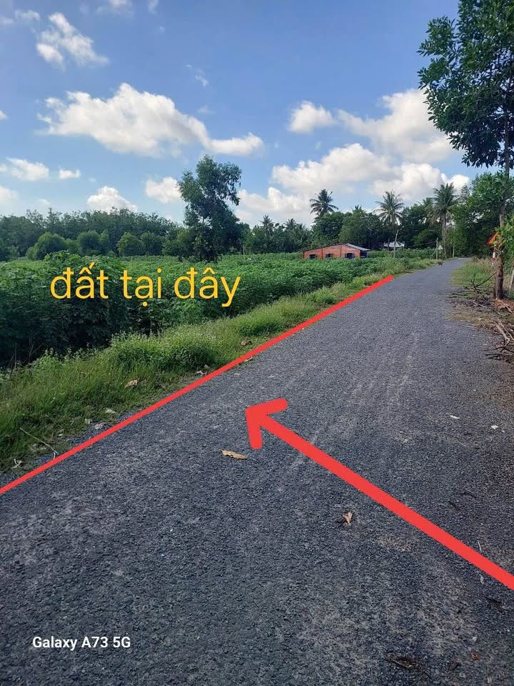 Đất nền Tân Phú, Tân Châu, Tây Ninh 3250m² - Cơ hội đầu tư hấp dẫn!