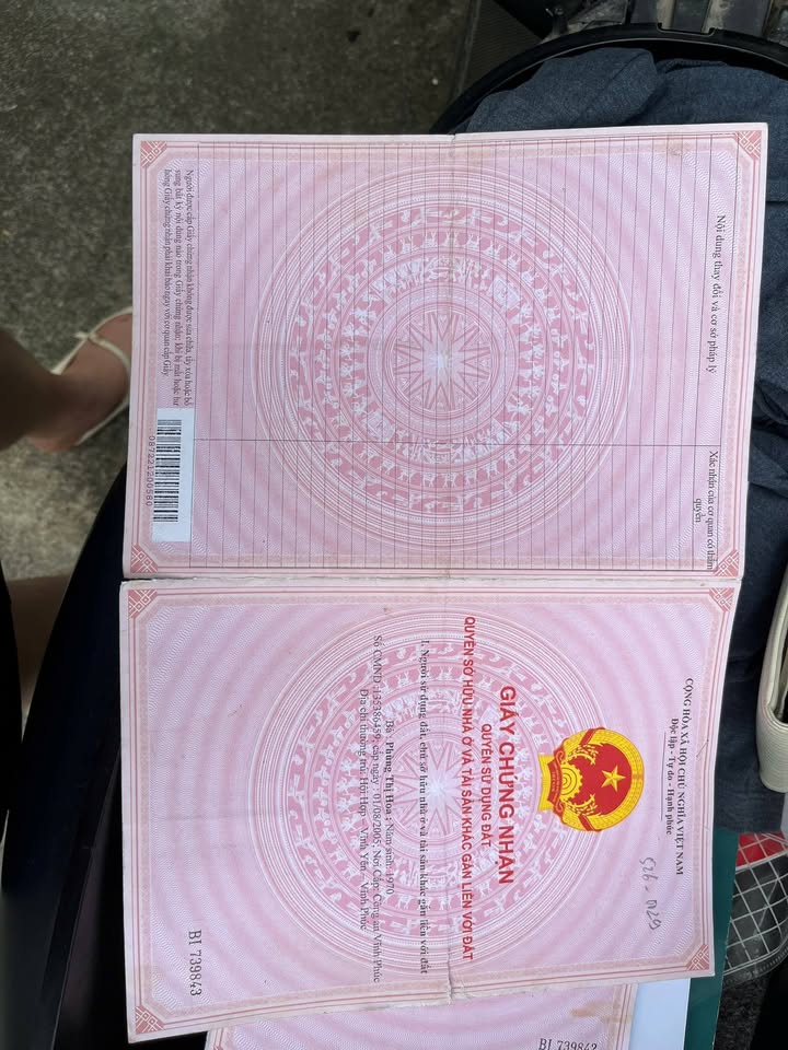 Farm đất 1500m² tại Vĩnh Yên, Vĩnh Phúc - Phù hợp làm trang trại đầu tư!