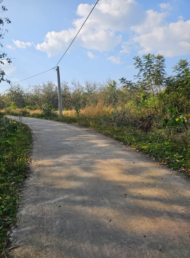 Đất nền 300m² tại Đồng Tâm, Đồng Phú - Giá chỉ 300 triệu, đầu tư sinh lời!