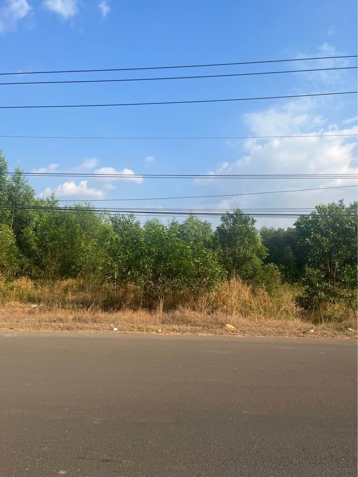 Đất nền 425m² tại Xã Tân Hưng, Đồng Phú - Giá chỉ 1.75 tỷ, hai mặt tiền đắc địa!