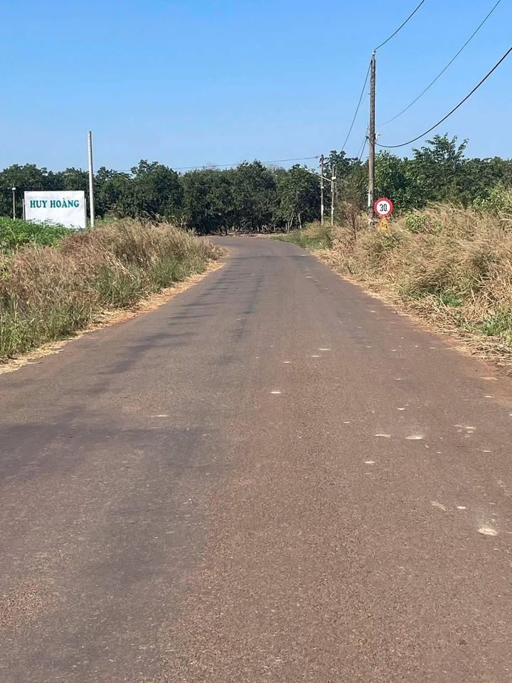 Đất nền giá rẻ tại Thị trấn Tân Phú, 225m² chỉ 400 triệu - Cơ hội đầu tư hấp dẫn!